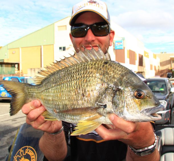 Top bream fisho scores $2000 cash